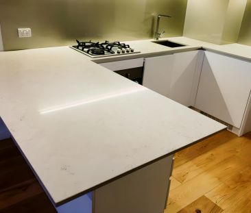 4205/38 Rose Lane, Melbourne - Photo 3