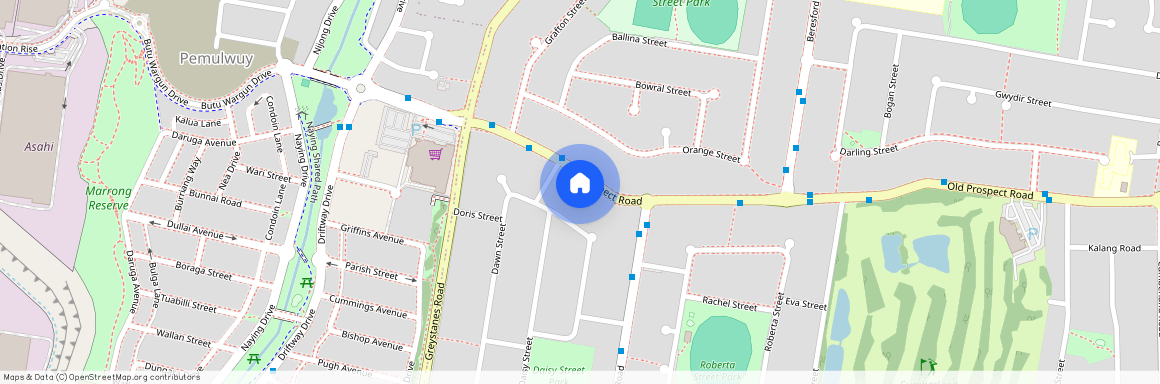 302 OLD PROSPECT ROAD, NSW 2145, Greystanes