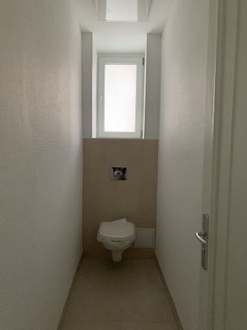 Location Appartement 4 pièces 113m² SARREGUEMINES 57200 - Photo 3