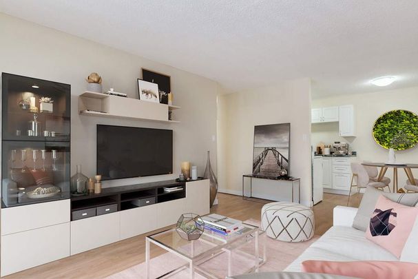 Renovated Suite - 1 Bedroom - Photo 1