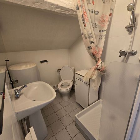 Studio meublé - centre-ville de Beaumont-sur-Oise - 17.14m² , Beaumont sur oise - Photo 3