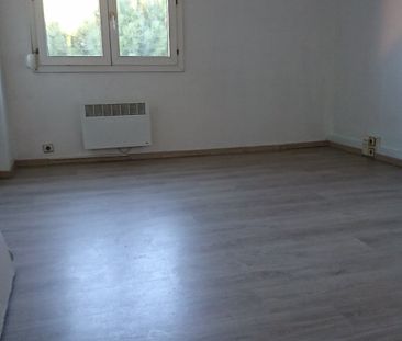 Location Appartement 1 pièce 20m² MONTPELLIER 34070 - Photo 1