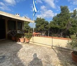 Διαμέρισμα για ενοικίαση - Άγιος Στέφανος - Photo 5