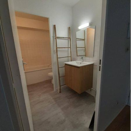 Location appartement t1 36 m² à Nantes (44000) St Donatien/Jardin des Plantes-Jardin des Plantes - Photo 3