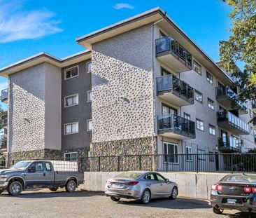 Don Quadra Apartments - Photo 4