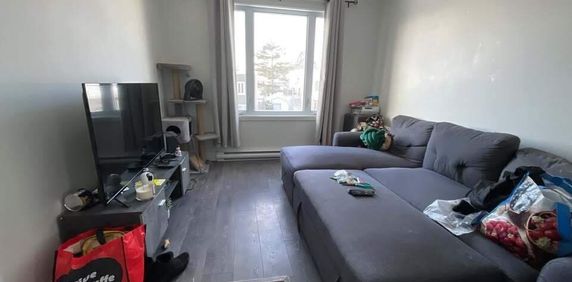 1 CH - 1 SDB - Québec - $1,100 /mo - Photo 2