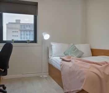 Classic Studio - Photo 1