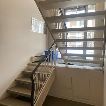 4 1/2 demi sous-sol très bien situé à Ste-Foy disponible le 1e juillet - Photo 4