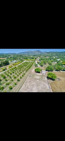 Finca rústica de alquiler en Sant Llorenç des Cardassar - Photo 3