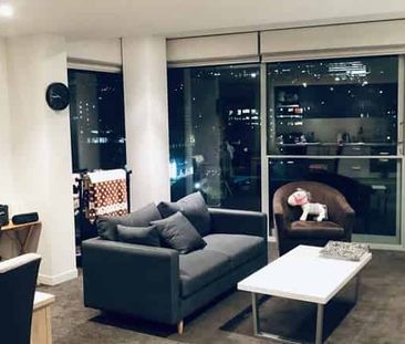 11th floor sunny 1 bedroom -Elevate Apartments - Photo 2