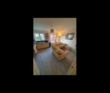 Room in a Shared House, Myrtle Drive, S2 - Photo 5