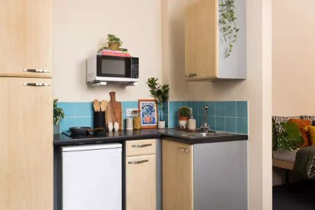 Large High Double Studio - Photo 4