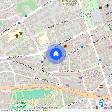 Avenue de Pratifori 24A, 1950 Sion