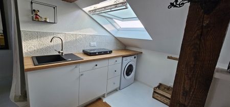 Location Appartement 1 pièce 50m² MULHOUSE 68100 - Photo 5