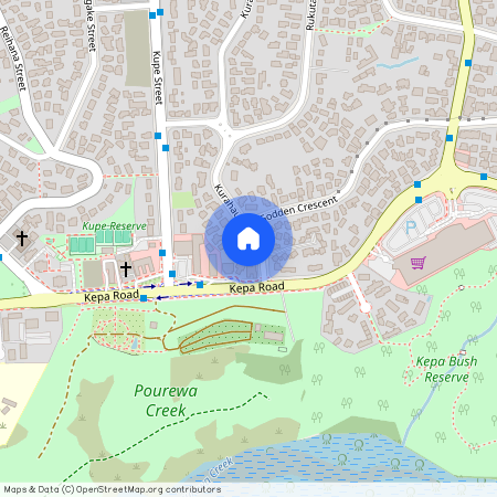 8 Kurahaupo Street, Orakei, Auckland City