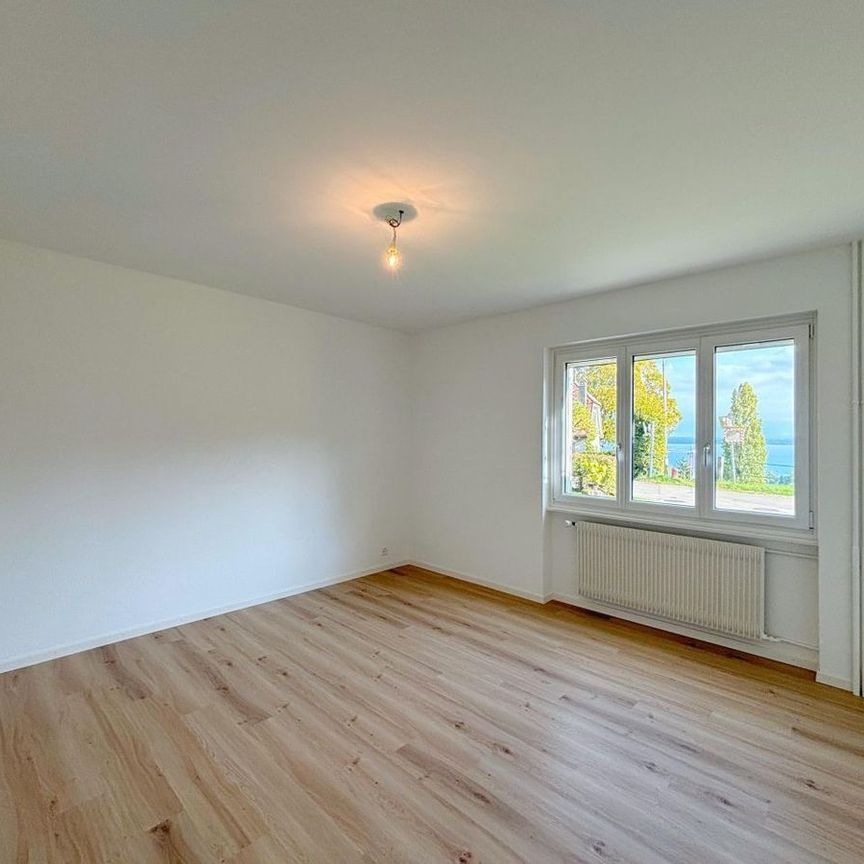 Schönes Apartment 3.5 Zimmer - 2 Schlafzimmer / Garten mit Seeblick / Privates Atelier - Foto 1