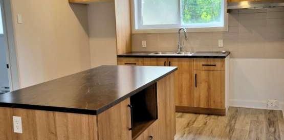 Logement 4 1/2 à louer (1ER JUIN 2026) - Photo 2