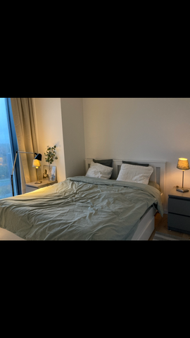 Lodjursstråket, Göteborg - Foto 4