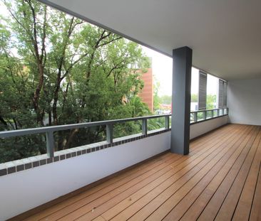 203S/1 Lardelli Drive, Ryde NSW 2112 - Apartment For Rent | Domain - Photo 2