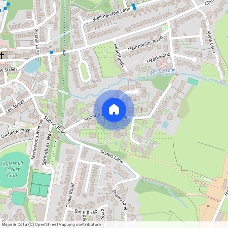 Springmeadow Lane, OL3
