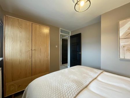 29 Silverstream Terrace, Belfast, BT14 8GH - Photo 5