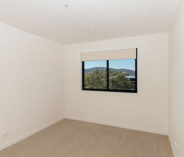 291/1 Mouat Street, Lyneham ACT 2602 - Apartment For Rent | Domain - Photo 4