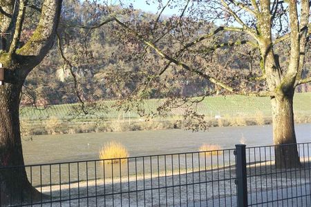 Trier: Wohnung in attraktiver Mosellage mit Einbauküche und großer Terrasse mit toller Aussicht. - Foto 2