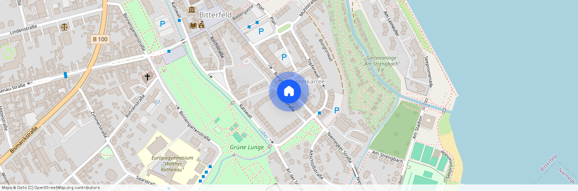 Burgstraße 62, 06749 Sachsen-Anhalt - Bitterfeld