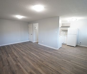 AMAZING newly reno'd Apartment in Lacombe! CATS OK! - Photo 3