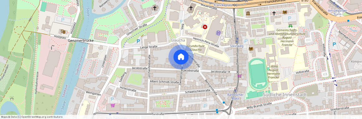 Zwingerstraße 25 (Südliche Innenstadt), 06110 Halle