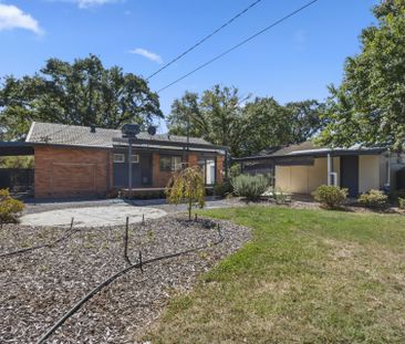 Discover Downer: Where Serene Suburban Living Meets Urban Convenience! - Photo 1