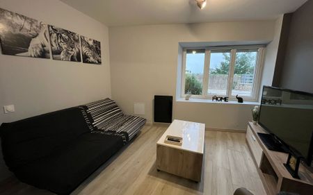 Appartement à louer 2 pièces • Saïx - Photo 3