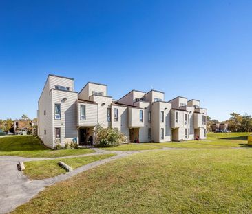 Windsor Park Village - Photo 4