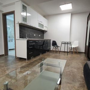 REMETEA RESIDENCE: one room apartment for rent at 7 minutes by feet to the University of Medicine and Pharmacy and the University of Agricultural Sciences and Veterinary Medicine - Fotografie 2