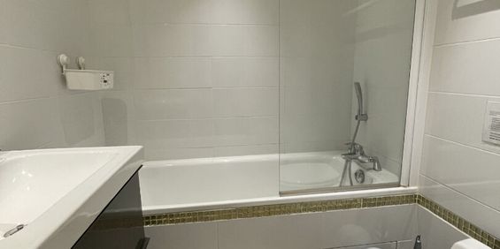 Location Appartement 1 pièce 24m² - Photo 3