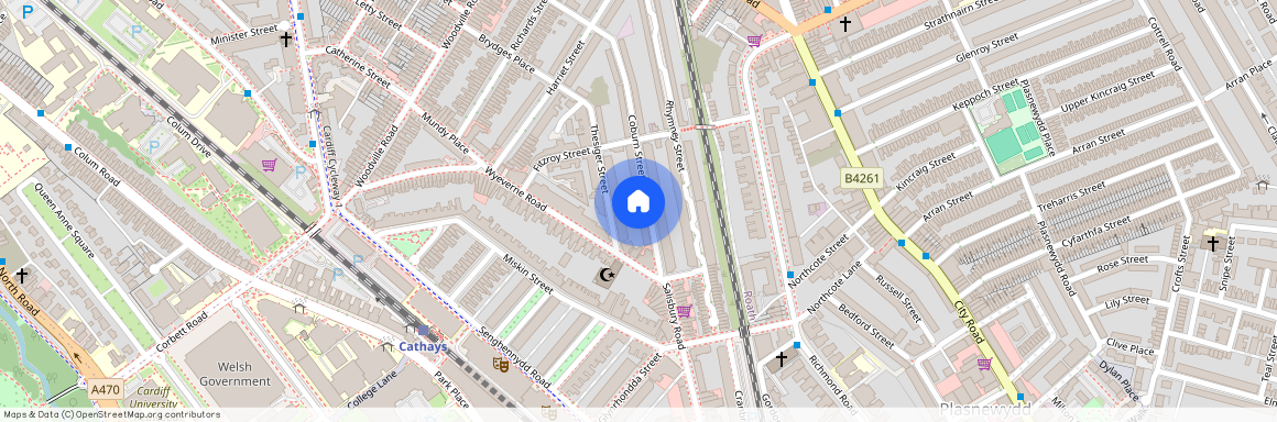 Coburn Street, CF24 4BQ, Cathays