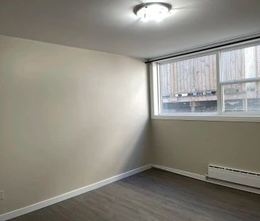 Wilson Apartment - 901 7th Avenue North — 2 Bedroom - Photo 2