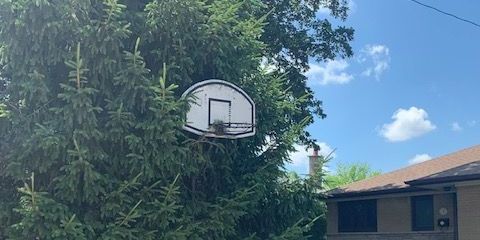 For Lease - 1393 Selkirk Avenue Unit# Lower 1, Oakville, Ontario - Photo 3