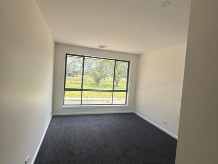 7-Bedroom Residence with Multiple Living Areas & Huge Shed- – $1,000 per Week! - Photo 5