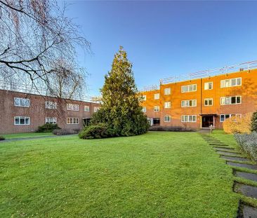 2 bedroom penthouse to rent - Photo 6