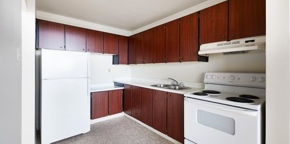 Large 2 Bedroom in Central Mississauga - Photo 3