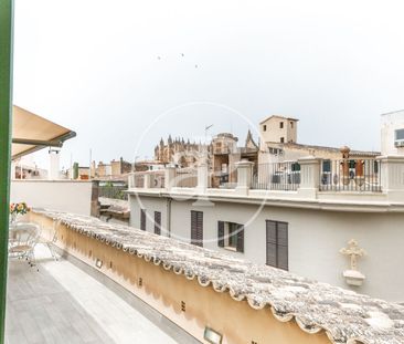 Flat for rent with Terrace in Sa Calatrava (Palma de Mallorca) - Photo 6