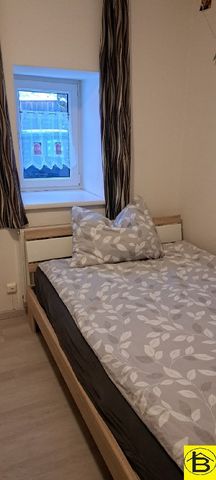 15448 PROVISIONSFREI - Single-Wohnung in Hohenberg - Foto 5