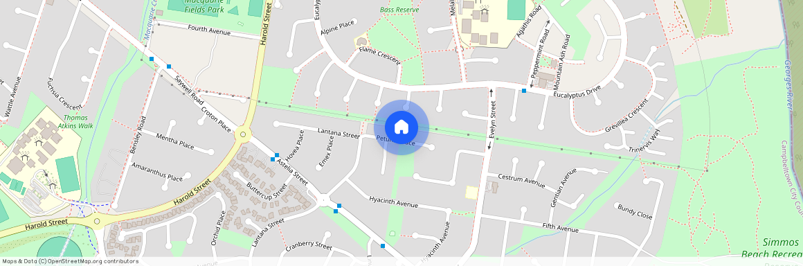 11 Petunia Place, Macquarie Fields, NSW 2564