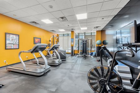 Flex Basic - Lisgar Apartments - Photo 5