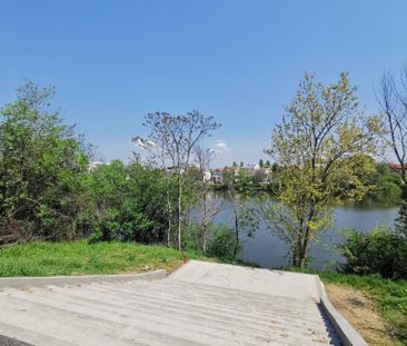 Inchirieri Case / vile Bucuresti - Fotografie 3