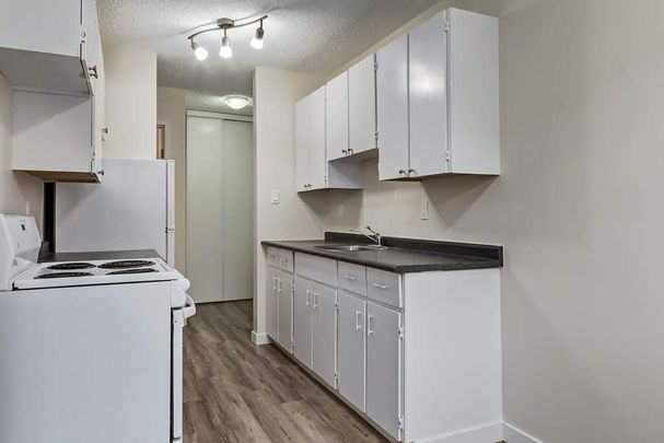 2 Bedroom - Photo 1