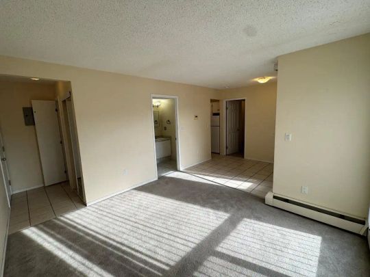Lovely, Bright & Clean 1 Bedroom Condo (RP023) — Lovely, Bright & Clean 1 Bedroom Condo (RP023) - Photo 1