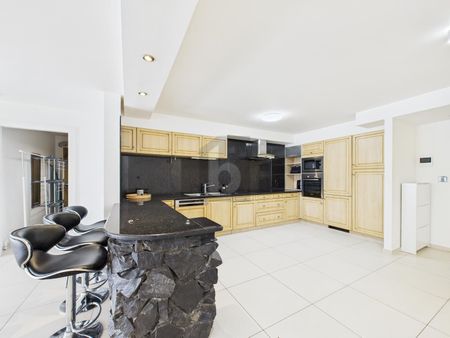 AU COEUR DE MONTREUX, MEUBLÉ AVEC VUE LAC - Foto 2