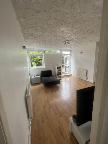 1 Bed Flat, Shepton Court, SW11 - Photo 5